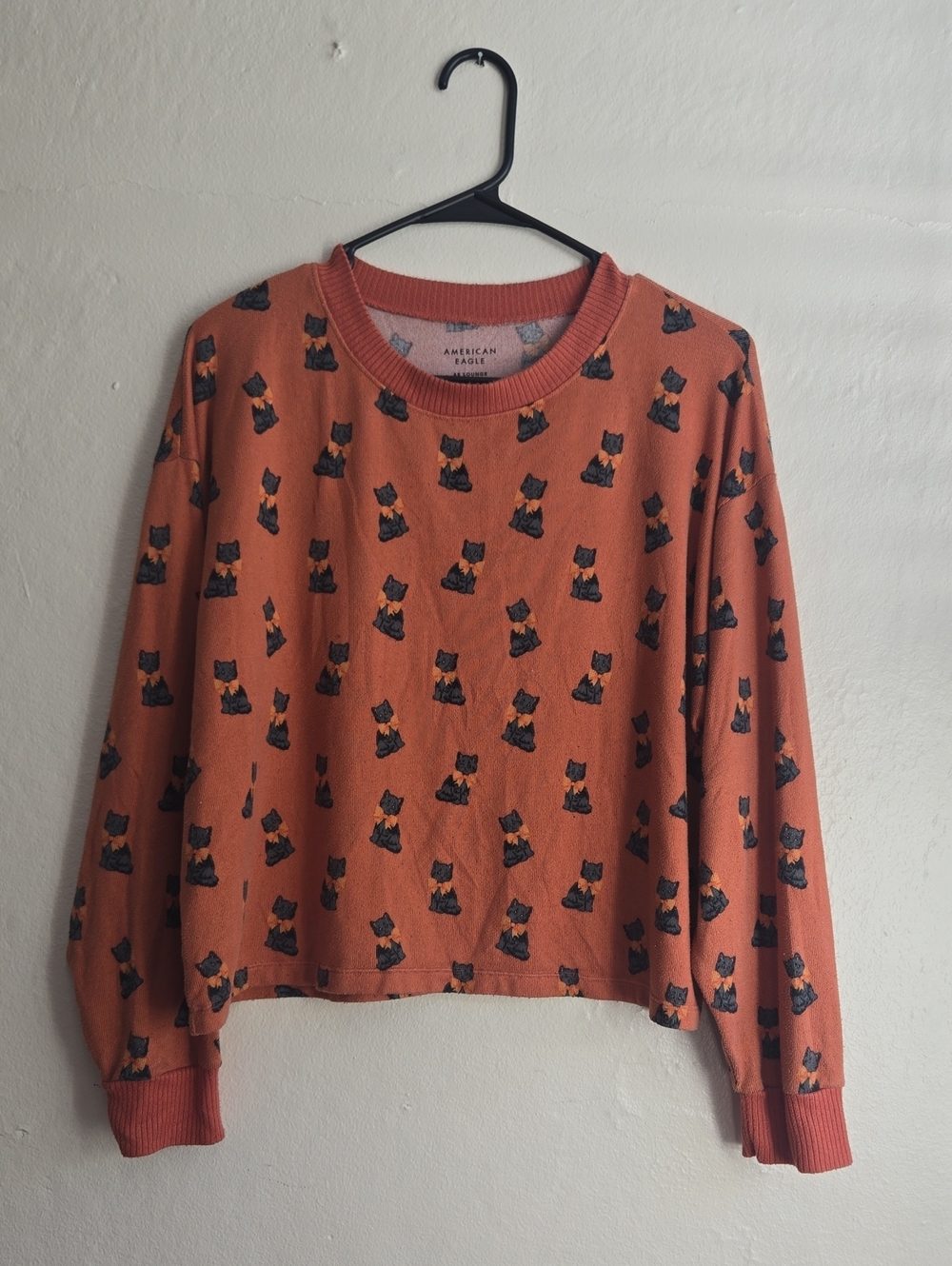 American Eagle Outfitters Rust Orange Cat Print Sweater